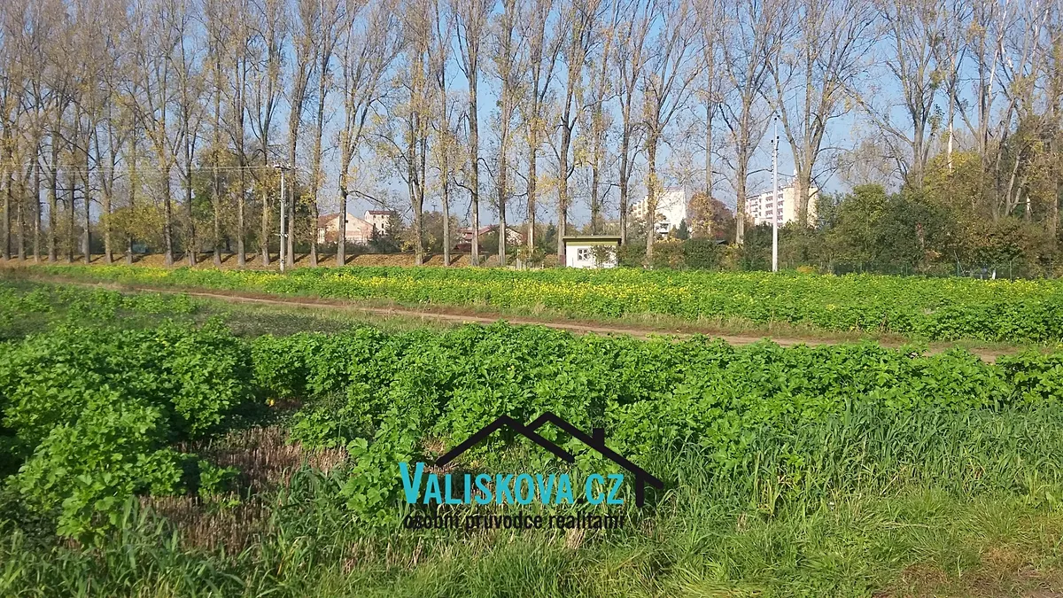 Fotka 7 z 7